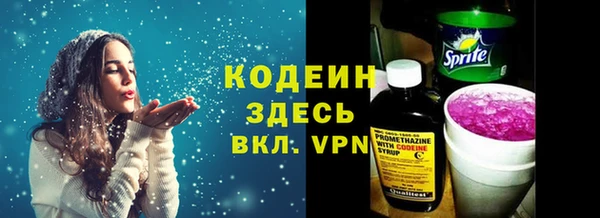 индика Бугульма