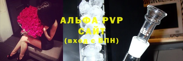 СК Бородино
