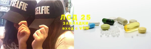 СК Бородино