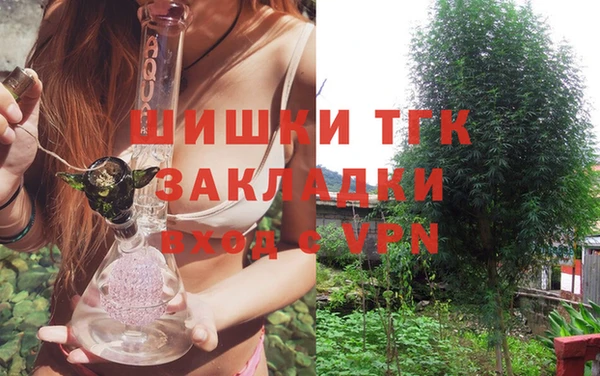 эйфоретик Богданович