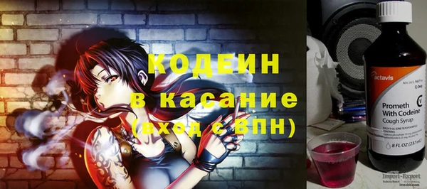 индика Бугульма