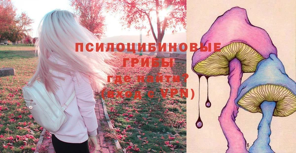 СК Бородино