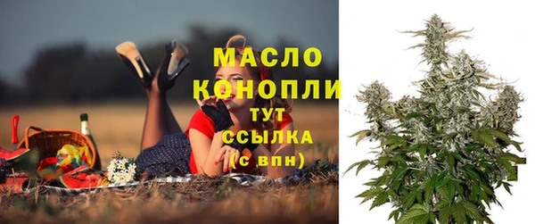 индика Бугульма