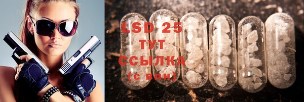 индика Бугульма