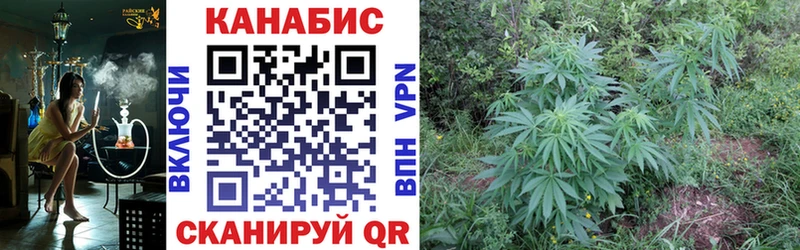 Каннабис семена  Миньяр 